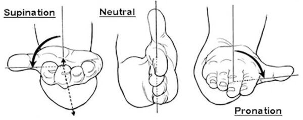 Pronation wrist pain and posture at Kinatex Sports Physio, Quebec and Ontario.