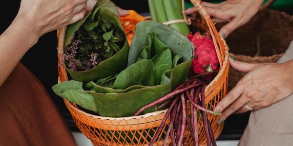 Le ménage du printemps de vos habitudes alimentaires et les bonnes graisses chez Kinatex Sports Physio, Québec et Ontario.