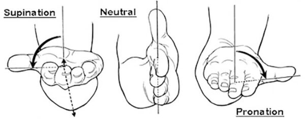 Pronation wrist pain and posture at Kinatex Sports Physio, Quebec and Ontario.
