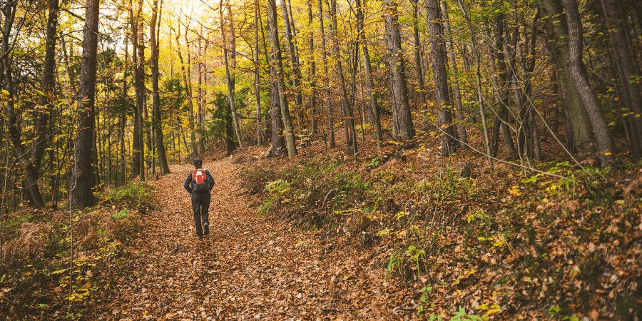 Préparer votre corps pour une randonnée sans tracas chez Kinatex Sports Physio, Québec et Ontario.