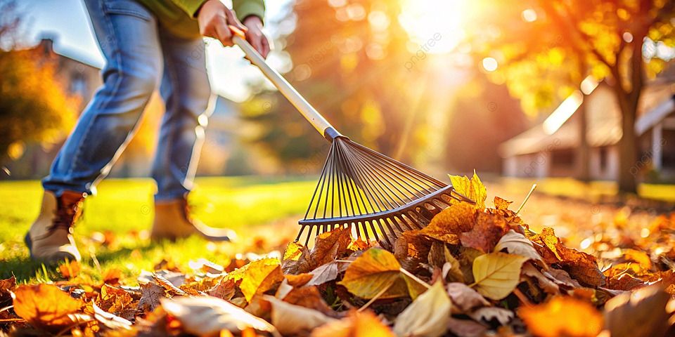 Comment ramasser les feuilles d’automne de façon ergonomique?